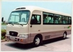 can thue xe 29 cho di chua bai dinh gia re, can thue xe 29 cho gia re, can thue xe 29 cho di chua hu