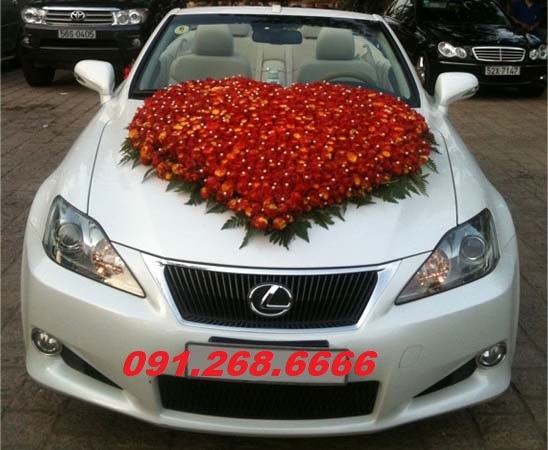 cho thuê Xe cưới Lexus ES350 , cần thuê Xe cưới Lexus ES350 